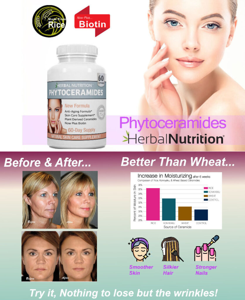Phytoceramides Benefits