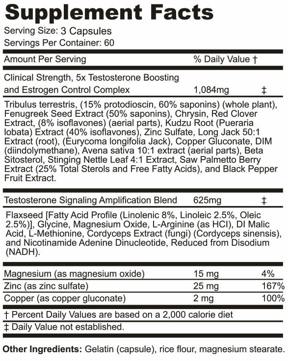 T5x Extreme Facts Panel
