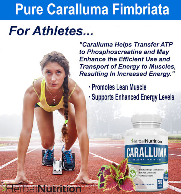 Caralluma Fimbriata Works For Athletes