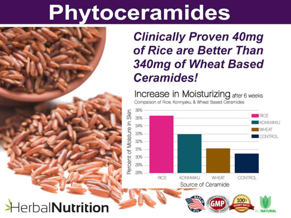 Phytoceramides Increase Moister In Skin