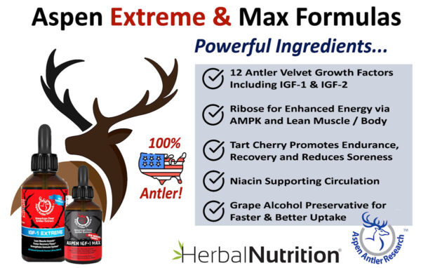 Aspen Extreme & Max Key Ingredients