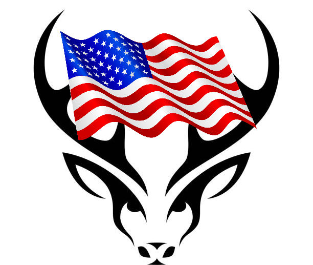 100% usa anlter