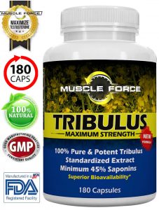 Tribulus Terrestris One Bottle