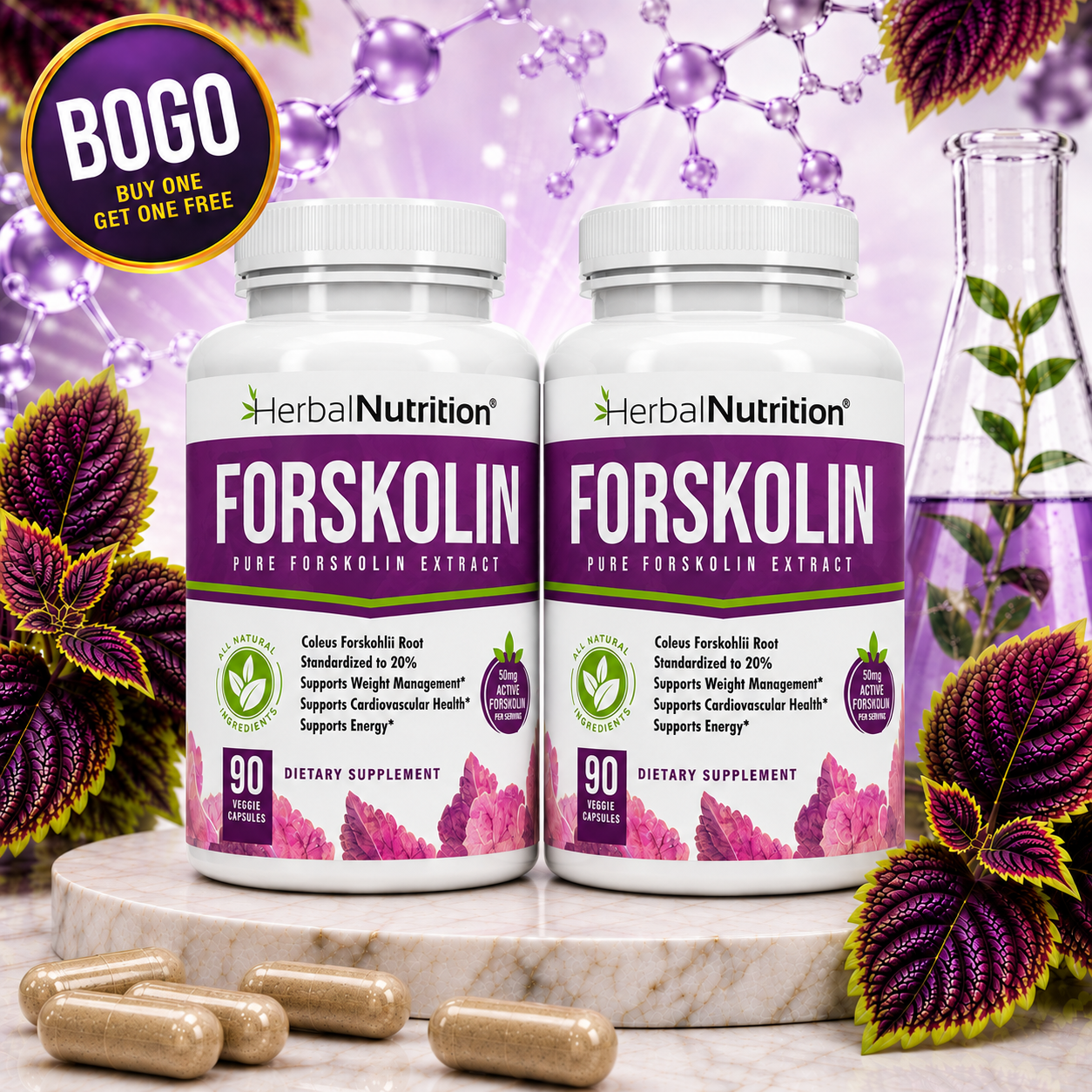Forskolin Extract Two Pack