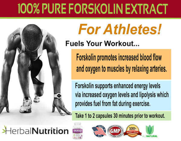 Forskolin Extract for Athletes