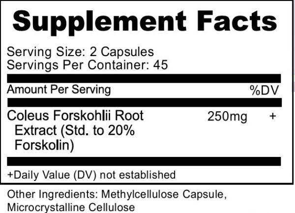 Forskolin Extract