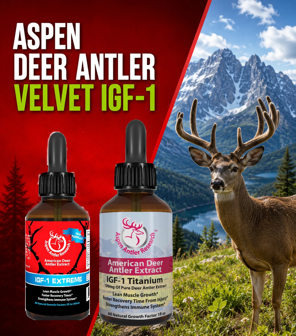 Herbal Nutrition Aspen Antler Products