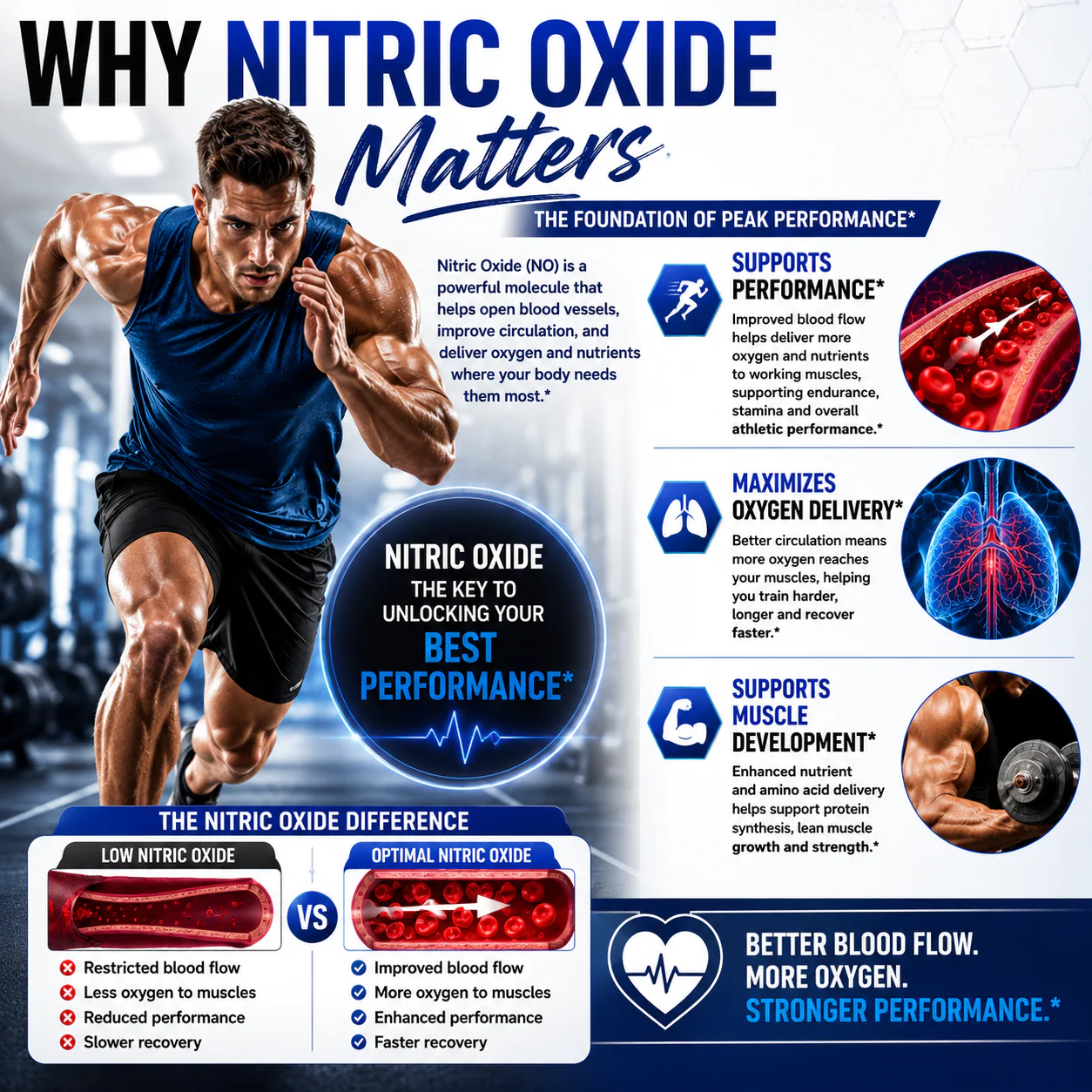 Cardio Complete Why Nitric Oxide Matters