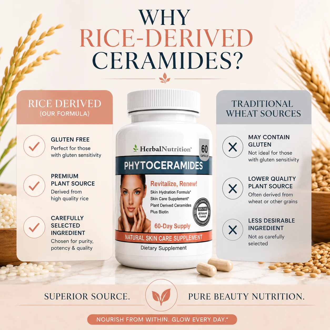 Phytoceramides From Rice