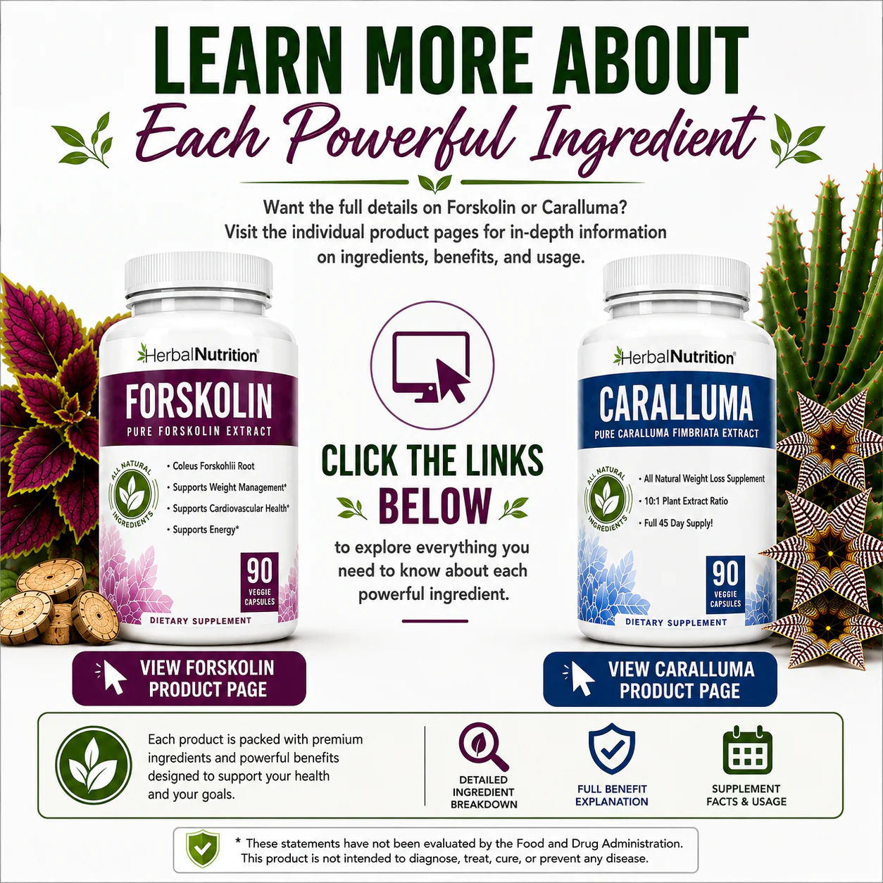 Lean More About Forskolin Caralluma Stack