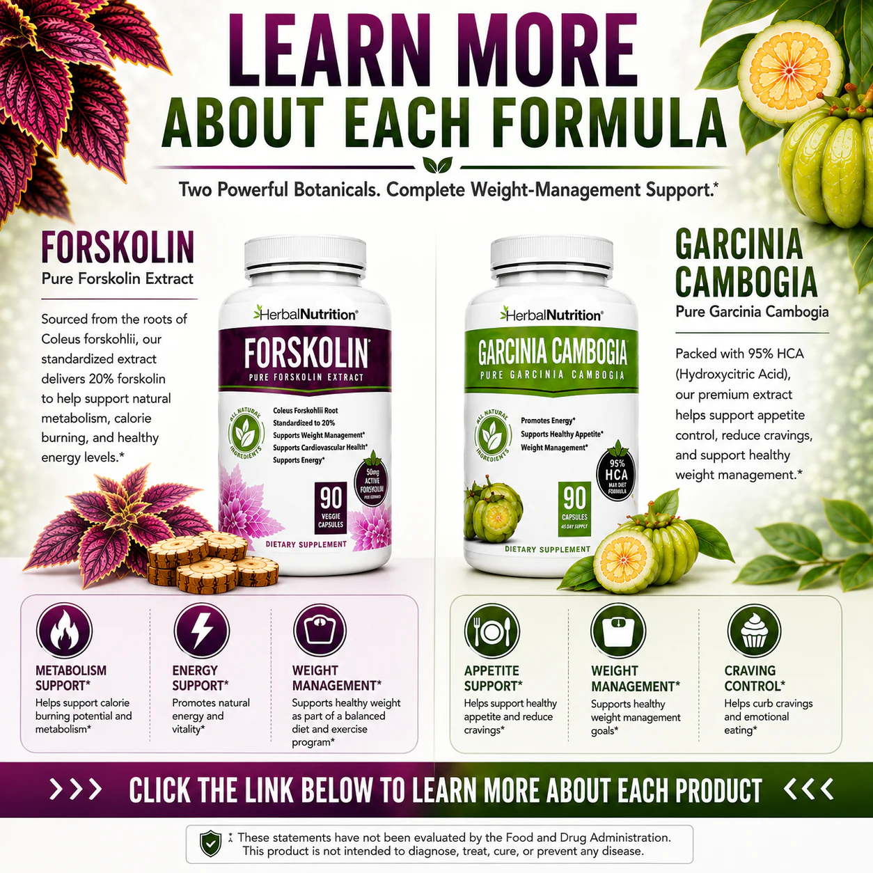 Learn More About Forskolin and Garcinia
