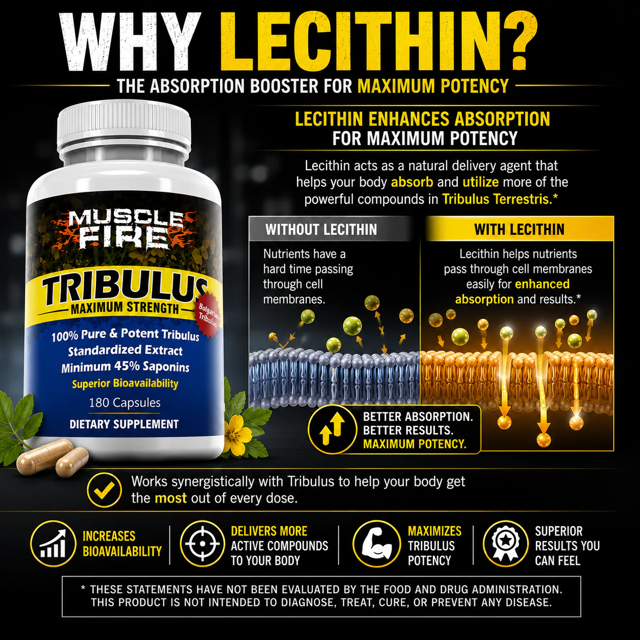 Tribulus with Lecithin for Uptake