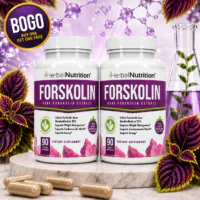 Forskolin Extract Two Pack