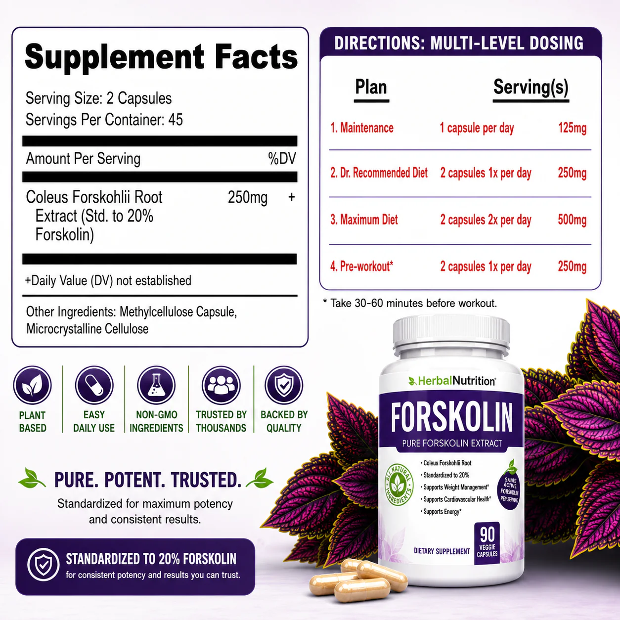 Forskolin Supplement Facts