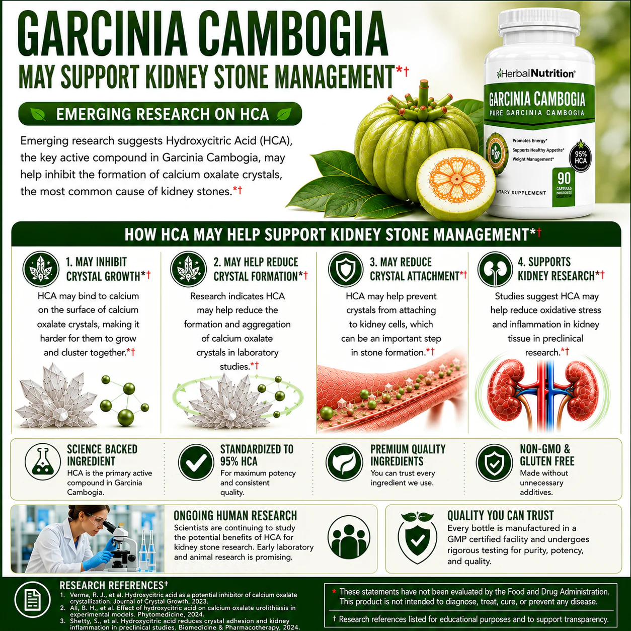 Garcinia for Kidney Stones